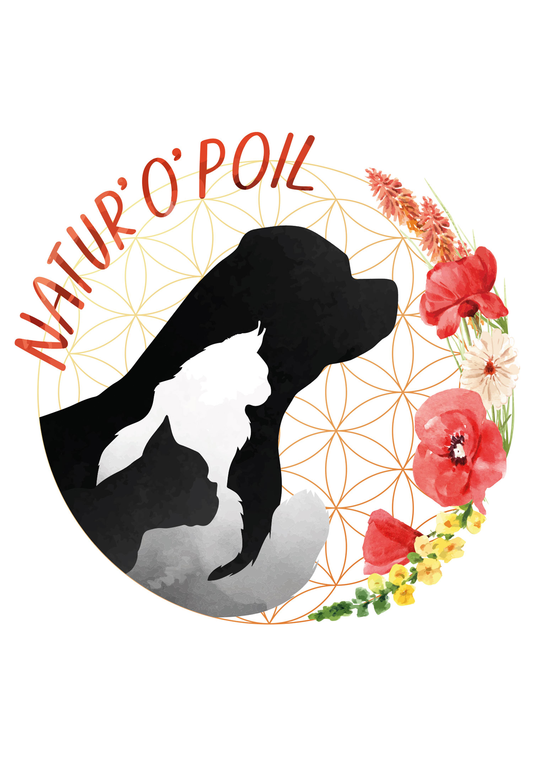 Logo Natur'O'Poil