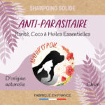 Shampoing solide anti-parasitaire