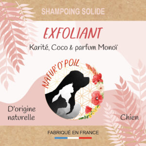 Shampoing solide exfoliant
