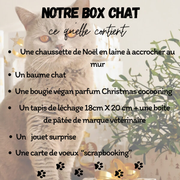 Description de la box Noël pour chat