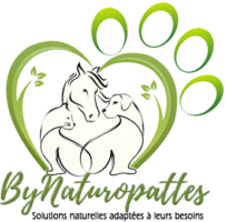Logo ByNaturopattes