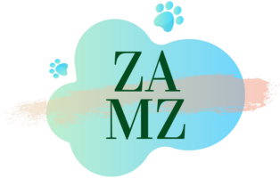 Logo ZamZ