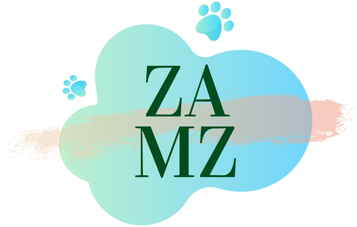 Logo ZamZ