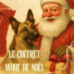COFFRET TOTAL WOOF – ÉDITION CRÉATEURS DE NOËL