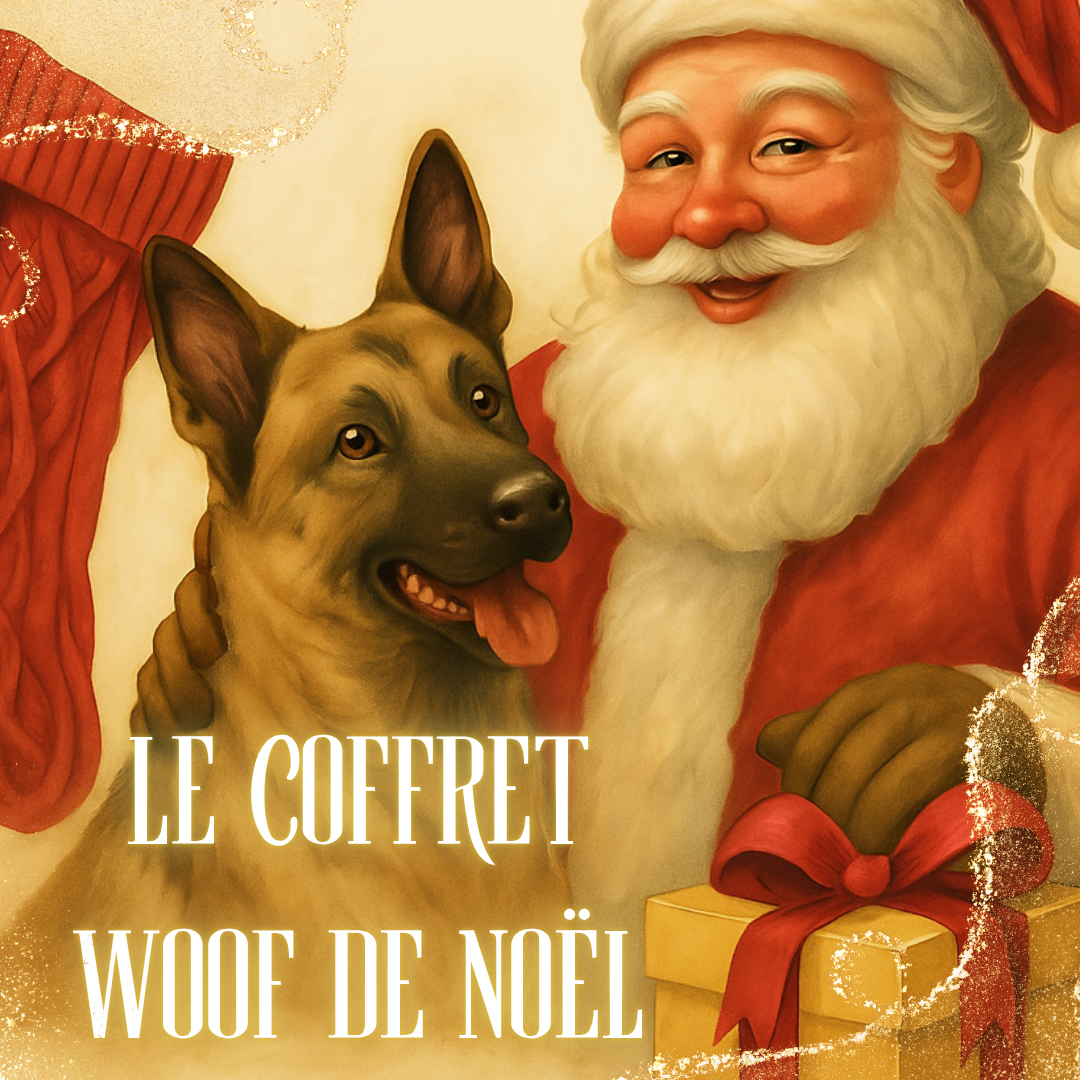 coffret-woof-noel-natur-o-poil COFFRET TOTAL WOOF – ÉDITION CRÉATEURS DE NOËL – Image 1